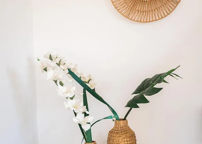 And Nest Casa Alba Modern Boho With Private Pool Near To Sea, Paphos